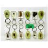 Image 1 : 12 New Insect in Resin Key Chains