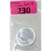 Image 1 : 1 Oz. Canada .9999 Silver Maple Leaf Coin