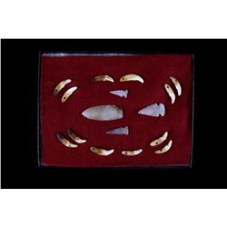 Bear Tooth Projectile Point Collection 9500-650BP