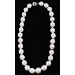 South Sea White Pearl 14K Gold Necklace - 16mm