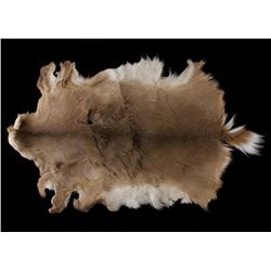 Montana Tanned Whitetail Deer Taxidermy Hide