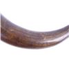 Image 11 : Texicans Remember the Alamo Powder Horn RARE