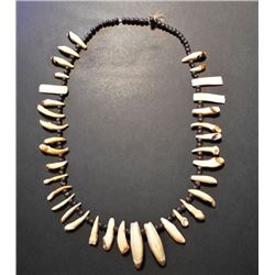 Northern Plains Coyote Teeth Necklace 19th Century