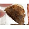 Image 1 : Beaver Skin
