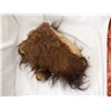 Image 1 : Buffalo Hide Fragment