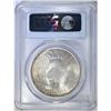 Image 4 : 1924 PEACE DOLLAR PCGS MS-63