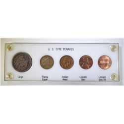 U.S. TYPE PENNIES IN PLASTIC HOLDER