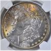 Image 2 : 1896 MORGAN DOLLAR  NGC MS-64