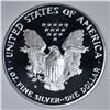 Image 3 : 1989-S AM SILVER EAGLE APCG PERFECT GEM PROOF DCAM
