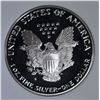 Image 3 : 1991-S AM SILVER EAGLE APCG PERFECT GEM PROOF DCAM