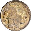 Image 1 : 1938-D Buffalo 5¢. MS-64 PCGS. OGH. Gold CAC