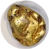 Image 1 : California. Gold Nugget. 8.43 Ounces. PCGS Encapsulated.