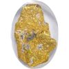 Image 1 : California. Gold Nugget. 7.86 Ounces. PCGS Encapsulated.