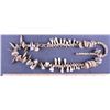 Image 1 : Human Tooth Necklace!