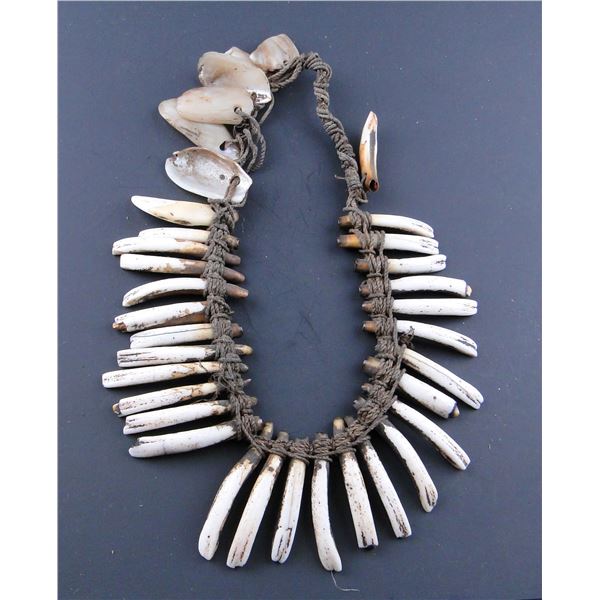 Pig Teeth Necklaces, Armband