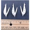 Image 2 : Oceanic Fish Hooks
