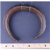 Image 1 : Massive Neck Ring