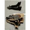 Image 1 : More Flying Fox Jaws
