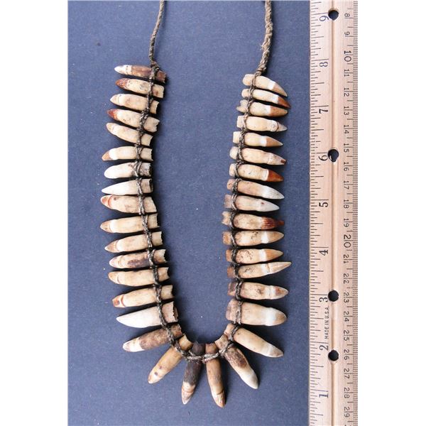 Crocodile tooth necklace Clearance