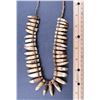 Image 1 : Crocodile Teeth Necklace