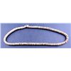 Image 1 : Another Cut Olive Shell Necklace