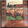 Image 2 : 2 COIN SETS  FRAMED "THE WAY WEST" FORTY NINERS LIBERTY HEAD NICKELS + THE WAY WEST BUFFALO NICKELS