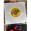 Image 2 : VINYL RECORD LOT