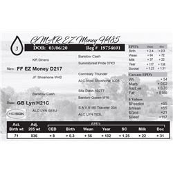 GMAR EZ Money H485