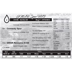 GMAR Spur H179