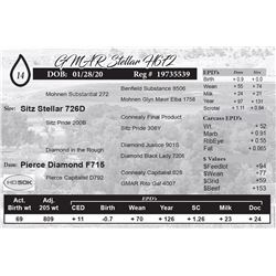 GMAR Stellar H672