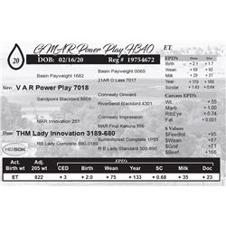 GMAR Power Play H340
