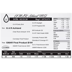GMAR Ashland H412