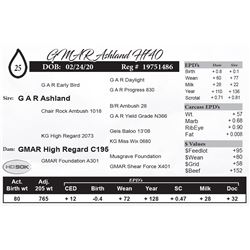 GMAR Ashland H740