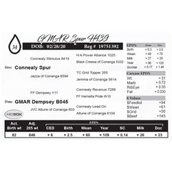 GMAR Spur H439