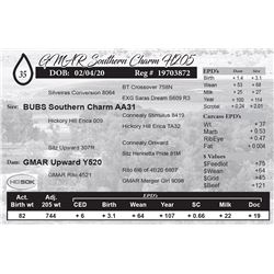 GMAR Southern Charm H205