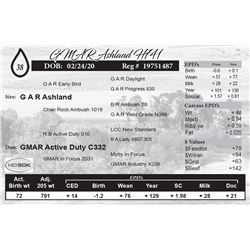 GMAR Ashland H741