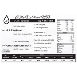 GMAR Ashland H753