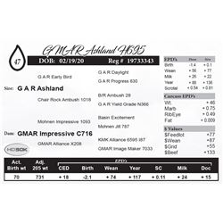 GMAR Ashland H695