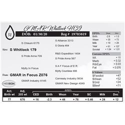 GMAR Whitlock H139