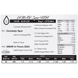 GMAR Spur H194