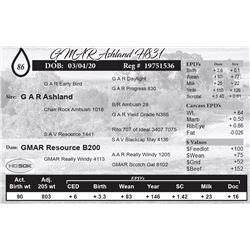 GMAR Ashland H831