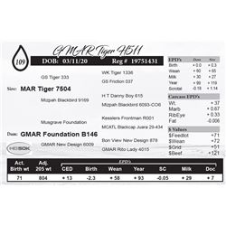 GMAR Tiger H511