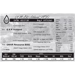 GMAR Ashland H790