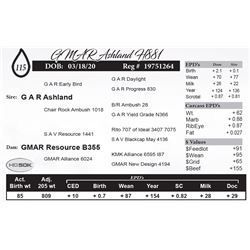GMAR Ashland H881