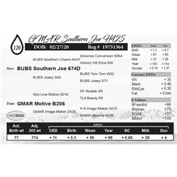 GMAR Southern Joe H425