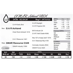 GMAR Ashland H804