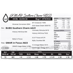 GMAR Southern Charm H253