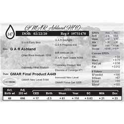GMAR Ashland H710