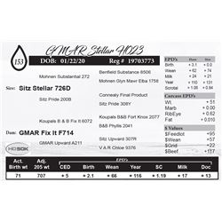 GMAR Stellar H023