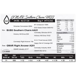 GMAR Southern Charm H422